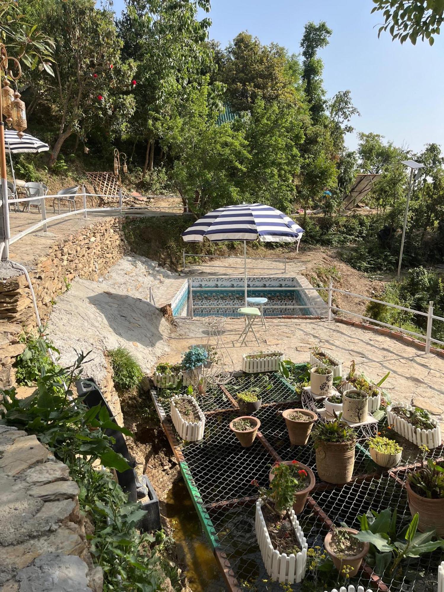 The Rare One'S Mukteshwar - Resort & Cafe Exteriér fotografie